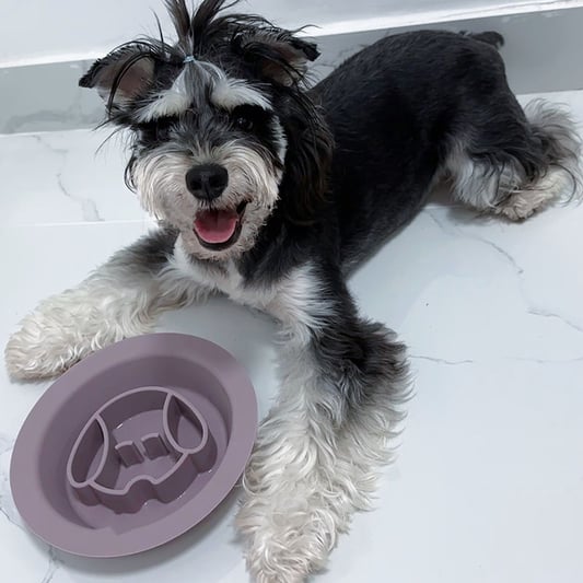 Silicone Pet Product